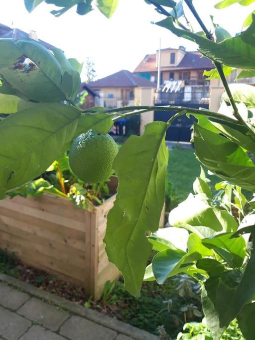 Apartament Casasassi Turyn Zewnętrze zdjęcie