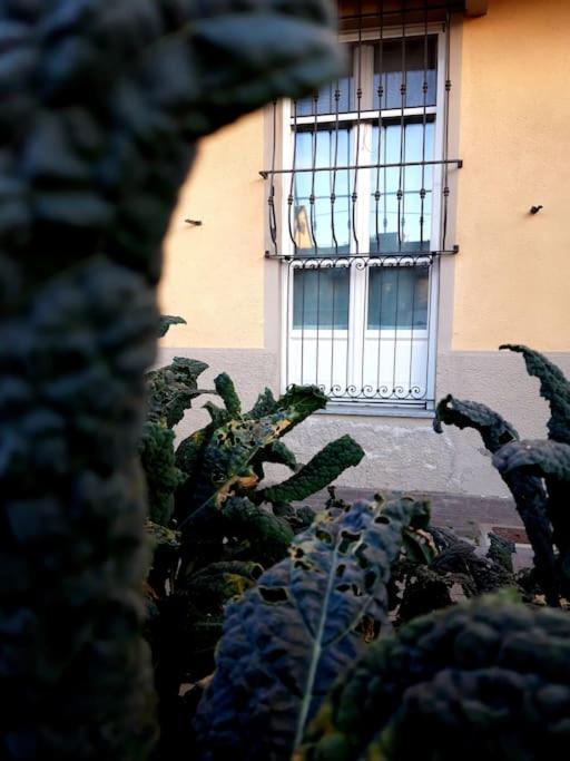 Apartament Casasassi Turyn Zewnętrze zdjęcie
